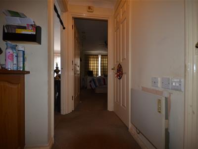 Picture 11
